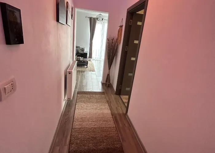 Partyvibe Mamaia Năvodari